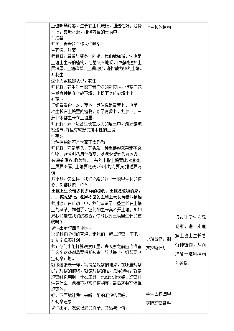 【青岛版六三制】一下科学  4.12 土壤与植物 课件+教案+练习02