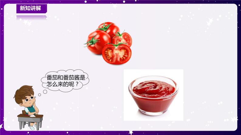 【青岛版六三制】一下科学  5.15 番茄与番茄酱 课件+教案+练习04