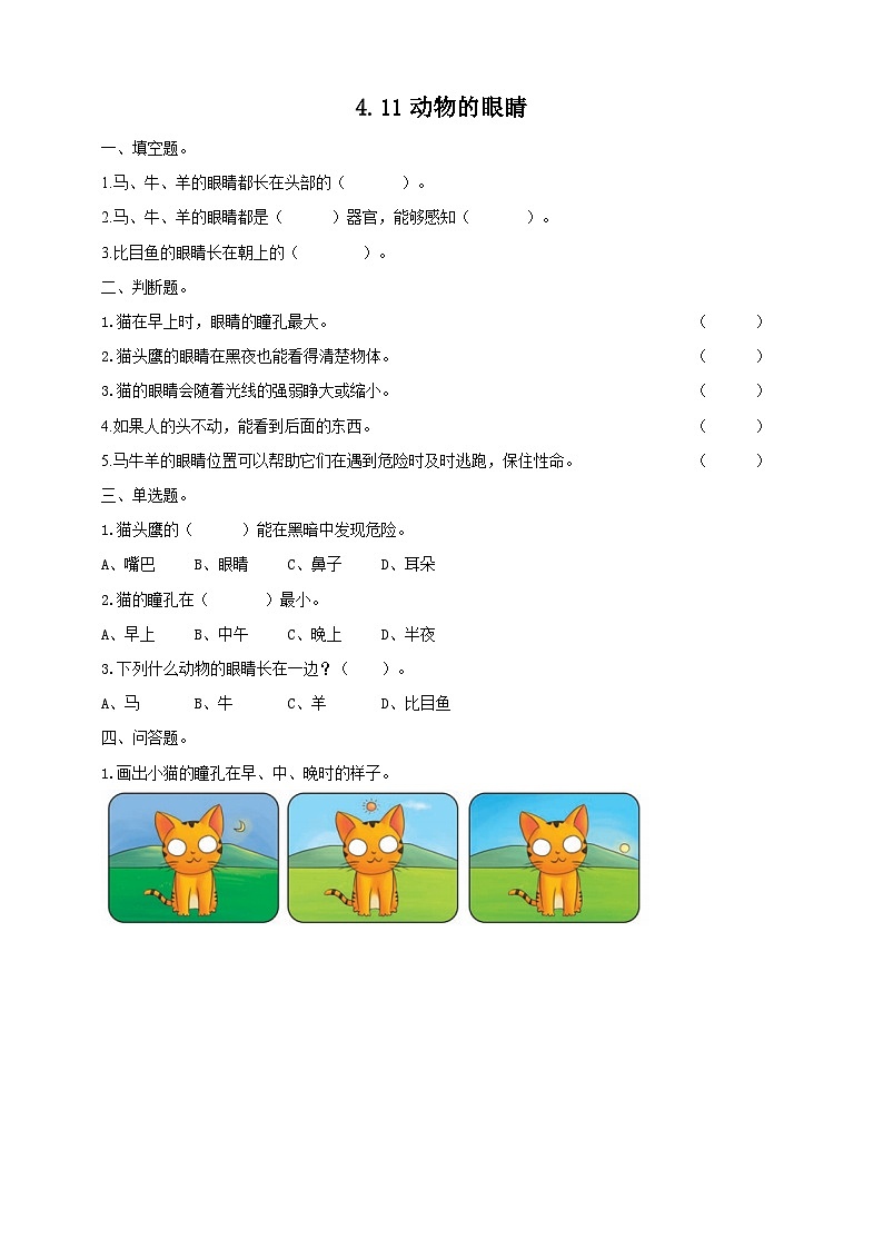 青岛版六三制二年级下册《动物的眼睛》练习第1页