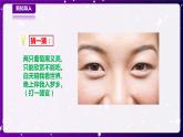 【青岛版六三制】二下科学  4.11动物的眼睛  课件+教案+练习