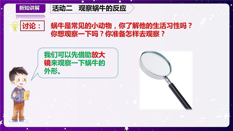 【青岛版六三制】二下科学  4.14观察蜗牛 课件+教案+练习 +素材07