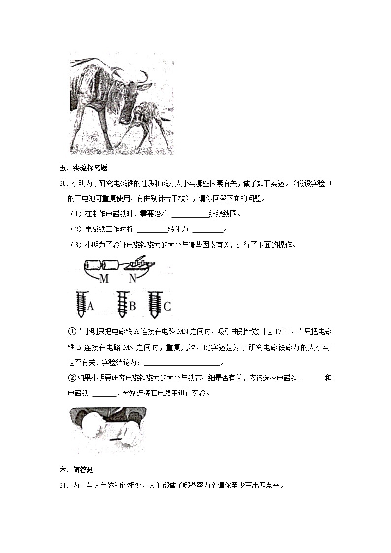 河北省唐山市玉田县2023-2024学年六年级上学期科学期末试卷03