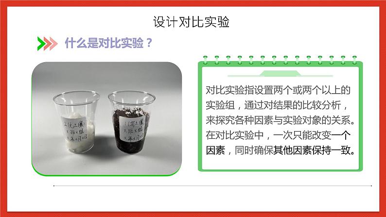 教科版科学五年级下册1.1《种子发芽实验》课件+教案+练习07