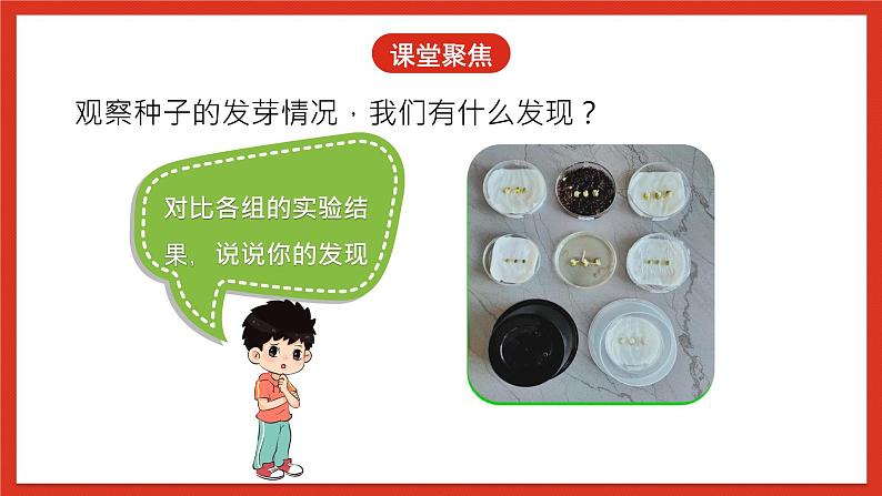 教科版科学五年级下册1.2《比较种子发芽实验》课件+教案+练习04