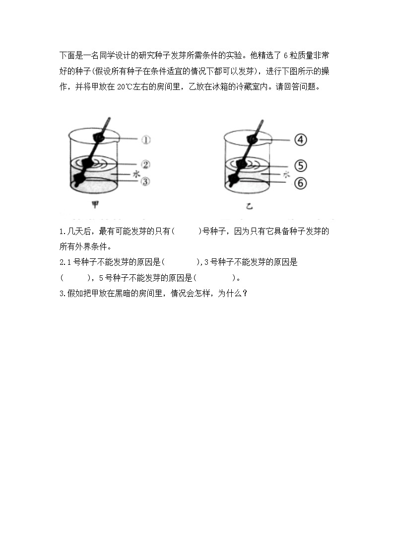 教科版科学五年级下册1.2《比较种子发芽实验》课件+教案+练习02