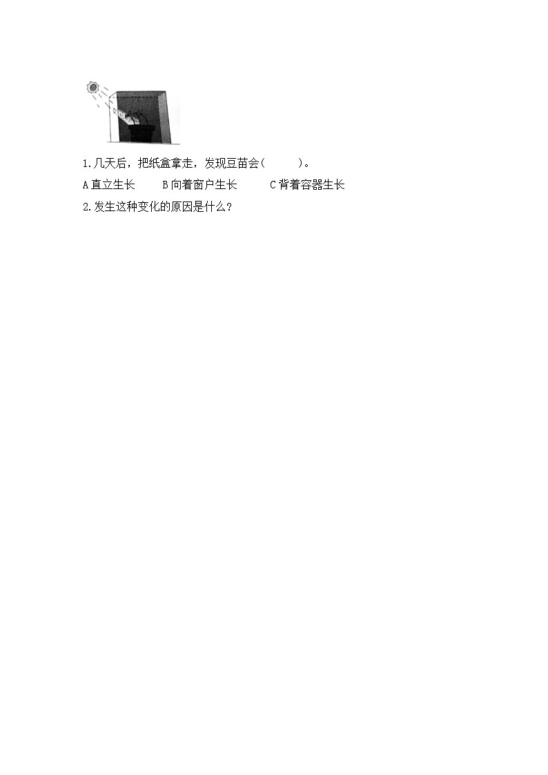 教科版科学五年级下册1.3《绿豆苗的生长》课件+教案+练习02