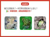 教科版科學五年級下冊1.5《當環(huán)境改變了》課件+教案+練習