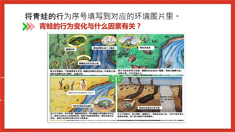 教科版科学五年级下册1.5《当环境改变了》课件+教案+练习07