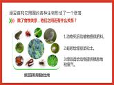 教科版科学五年级下册1.7《设计和制作生态瓶》课件+教案+练习