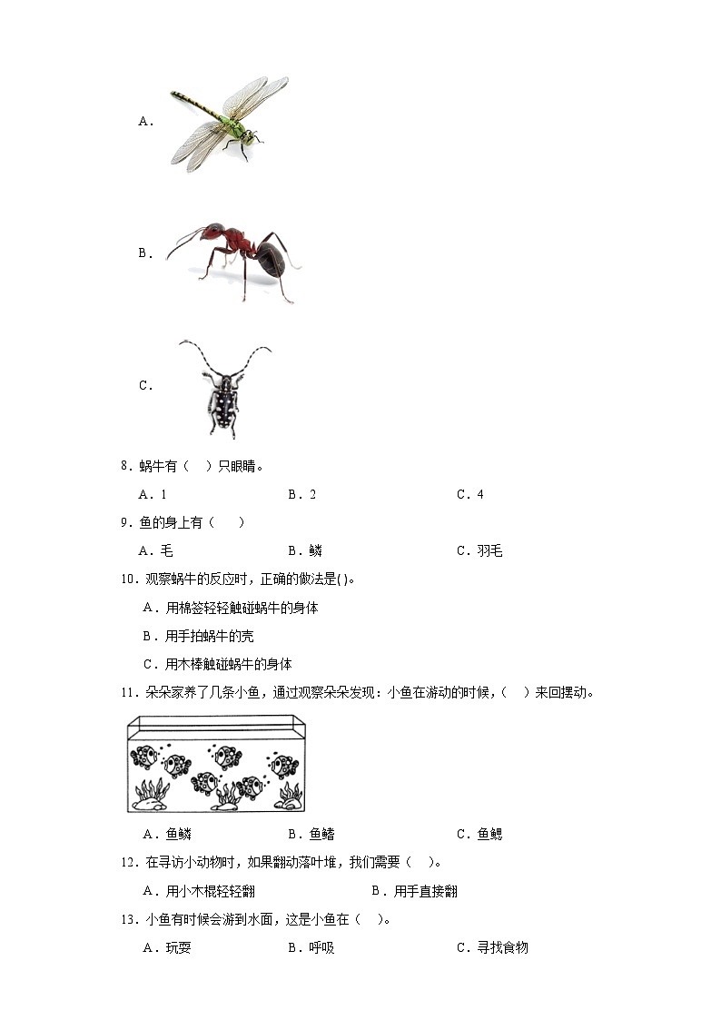 2023-2024学年度小学科学教科版一年级下册第二单元考试卷第2页