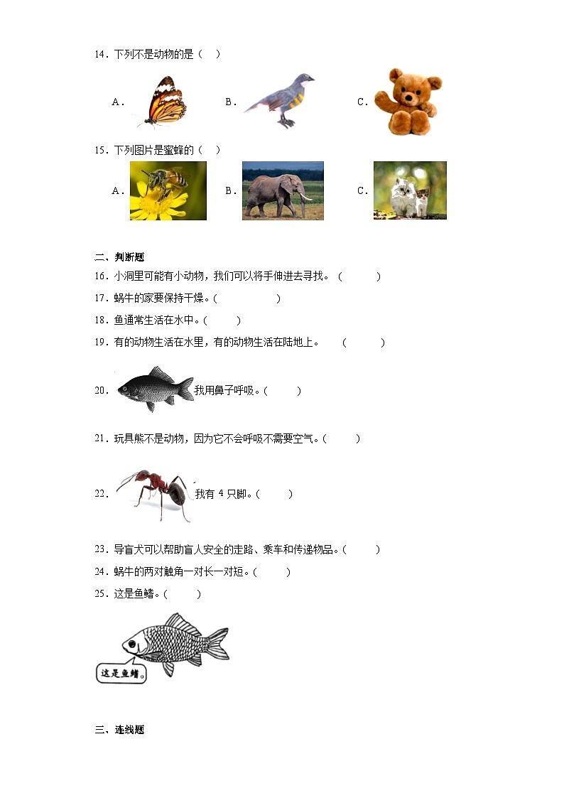 2023-2024学年度小学科学教科版一年级下册第二单元考试卷第3页