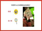 苏教版科学五下 1.2 《微小的生命体》课件+教案