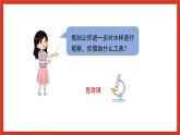 苏教版科学五下 1.2 《微小的生命体》课件+教案