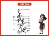 苏教版科学五下 1.2 《微小的生命体》课件+教案