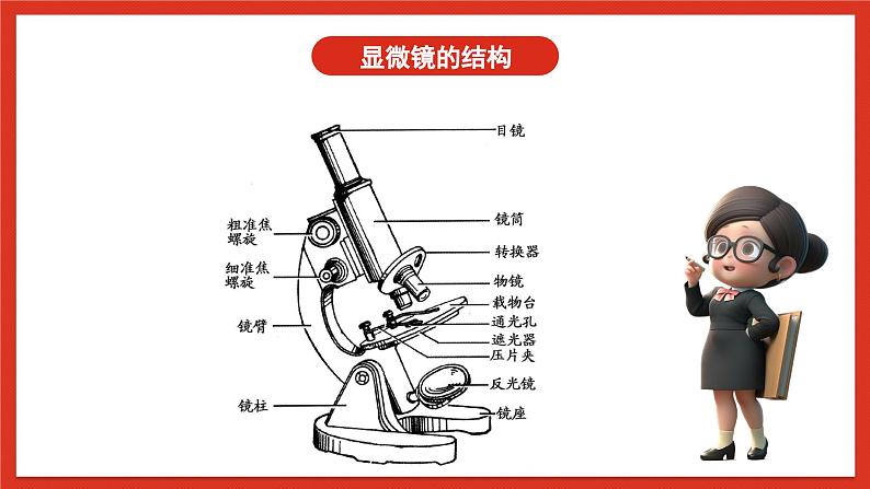 苏教版科学五下 1.2 《微小的生命体》课件+教案05