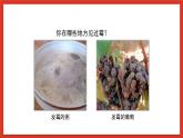蘇教版科學五下 1.3 《發(fā)霉與防霉》課件+教案