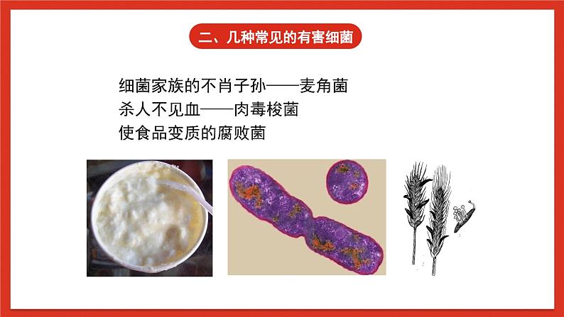 苏教版科学五下 1.4 《微生物的“功”与“过”》课件+教案04