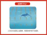 苏教版科学五下 2.7《海豚与声呐》课件+教案