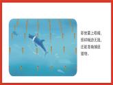 苏教版科学五下 2.7《海豚与声呐》课件+教案