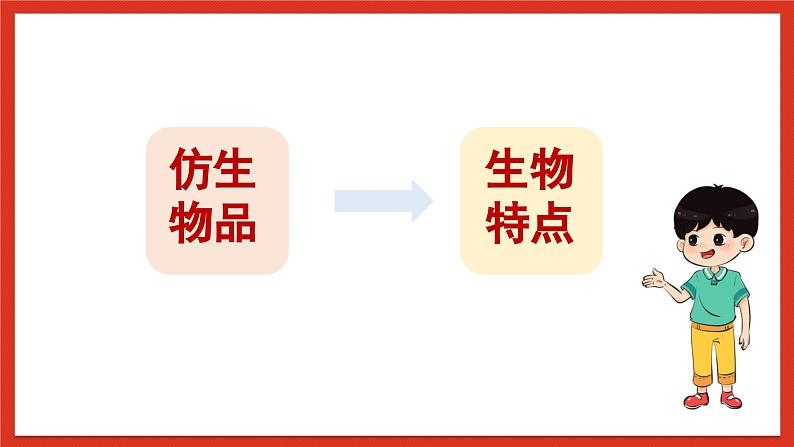 苏教版科学五下 2.4《我们来仿生》课件第6页