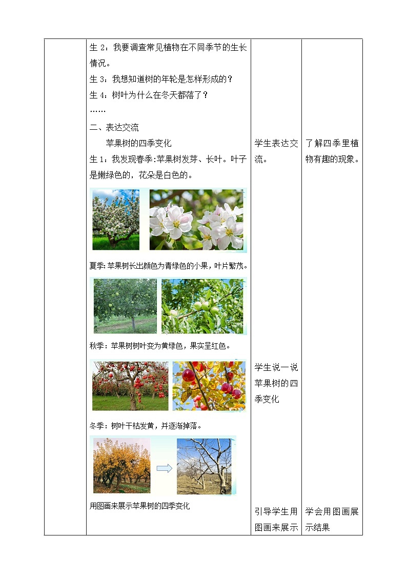 【核心素养】大象版科学二年级下册 准备单元3.3《四季与植物》课件+教案+分层练习（含答案）+素材02