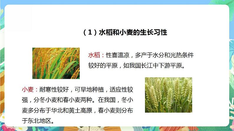 【核心素养】大象版科学六年级下册1.4《植物与环境》课件+教案+分层练习（含答案）+素材07