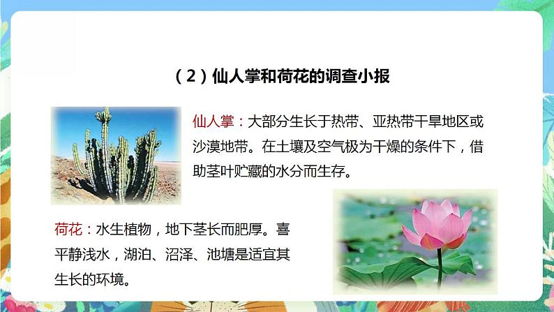 【核心素养】大象版科学六年级下册1.4《植物与环境》课件+教案+分层练习（含答案）+素材08