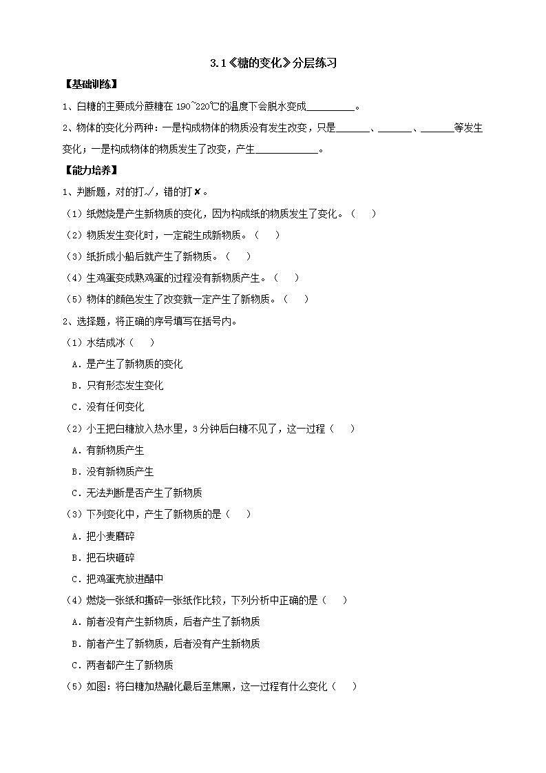 【核心素养】大象版科学六年级下册3.1《糖的变化》课件+教案+分层练习（含答案）+素材01