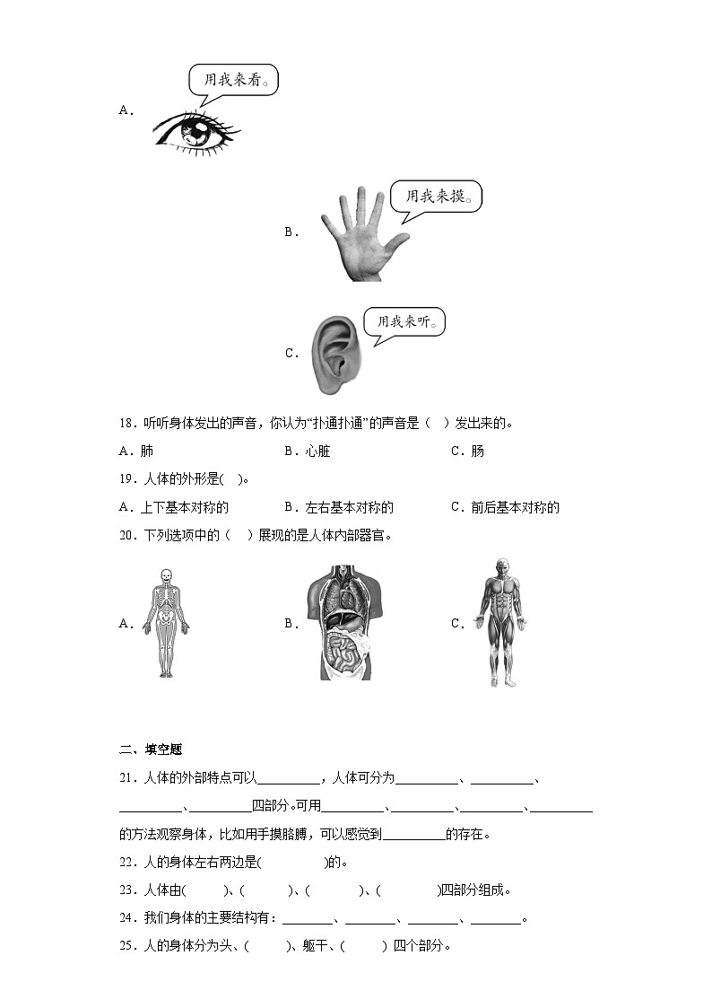 教科版小学科学二年级下册2.1《观察我们的身体》作业第3页