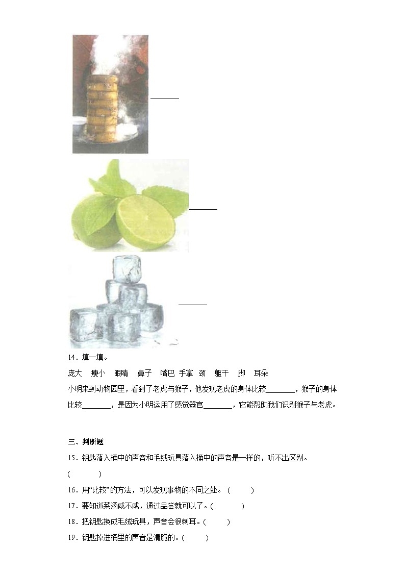 教科版小学科学二年级下册2.3《观察与比较》作业03