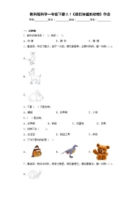 科学1.我们知道的动物随堂练习题