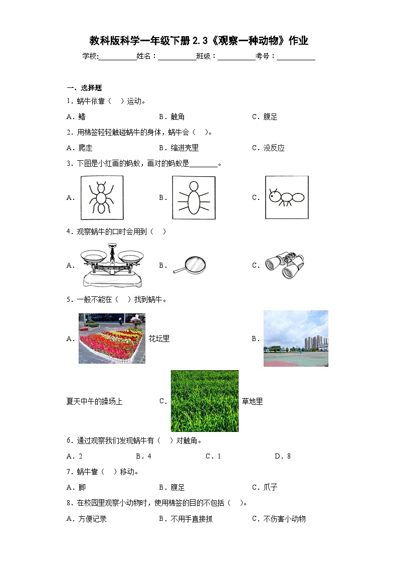 教科版科学一年级下册2.3《观察一种动物》作业第1页