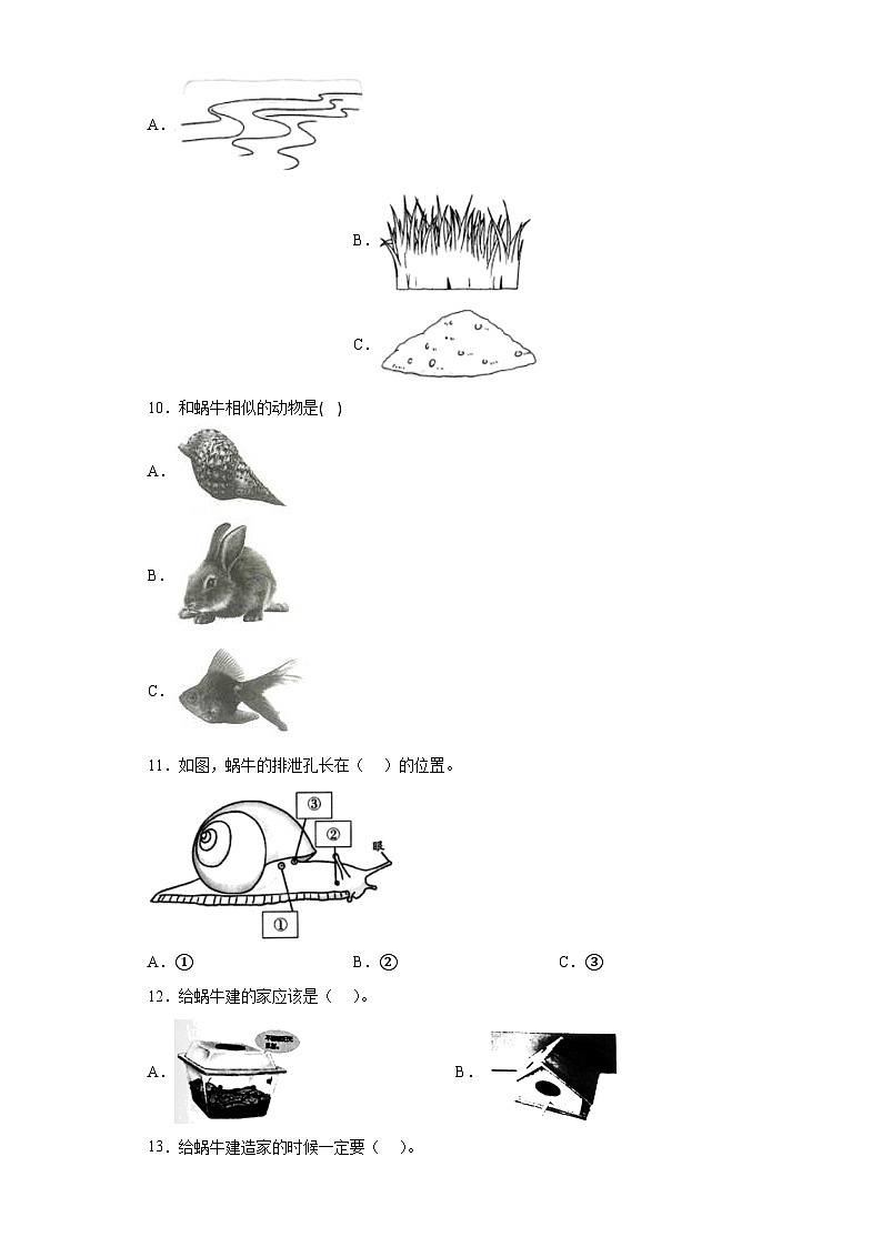 教科版科学一年级下册2.4《给动物安个家》作业02