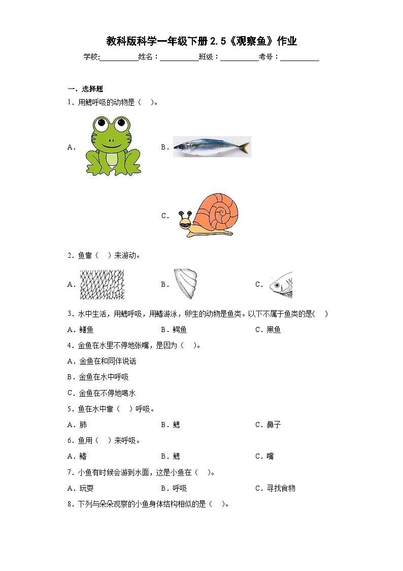 教科版科学一年级下册2.5《观察鱼》作业01