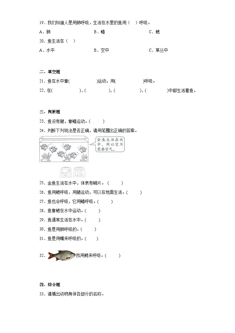 教科版科学一年级下册2.5《观察鱼》作业03