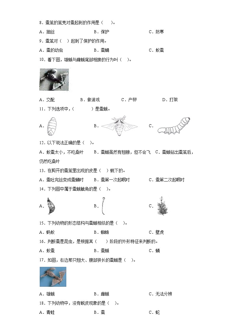 教科版科学三年级下册2.5《茧中钻出了蚕》习题第2页