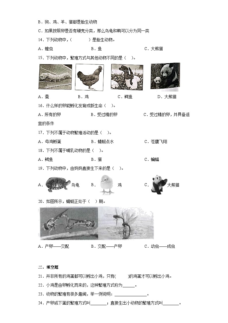 教科版科学三年级下册2.7《动物的繁殖》习题02