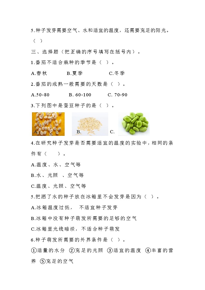 苏教版科学三年级下册1.1《种子发芽了》课件+教案+练习（含答案）+素材02