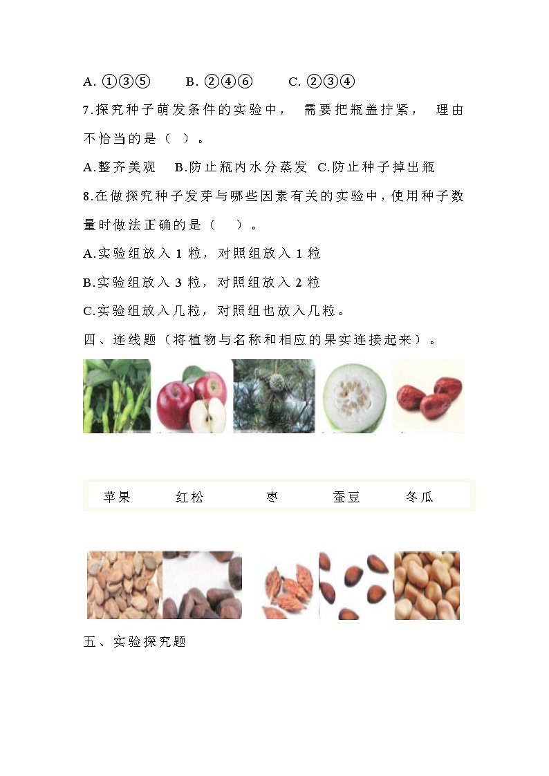 苏教版科学三年级下册1.1《种子发芽了》课件+教案+练习（含答案）+素材03