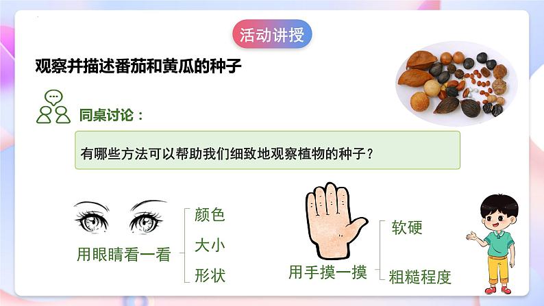 苏教版科学三年级下册1.1《种子发芽了》课件+教案+练习（含答案）+素材07
