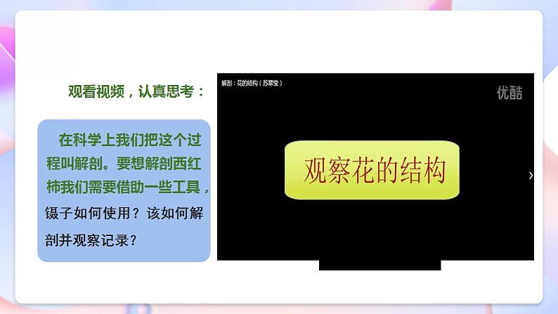 苏教版科学三年级下册1.3《植物开花了》课件+教案+练习（含答案）+素材08