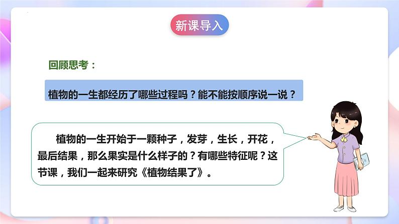 苏教版科学三年级下册1.4《植物结果了》课件+教案+练习（含答案）+素材05