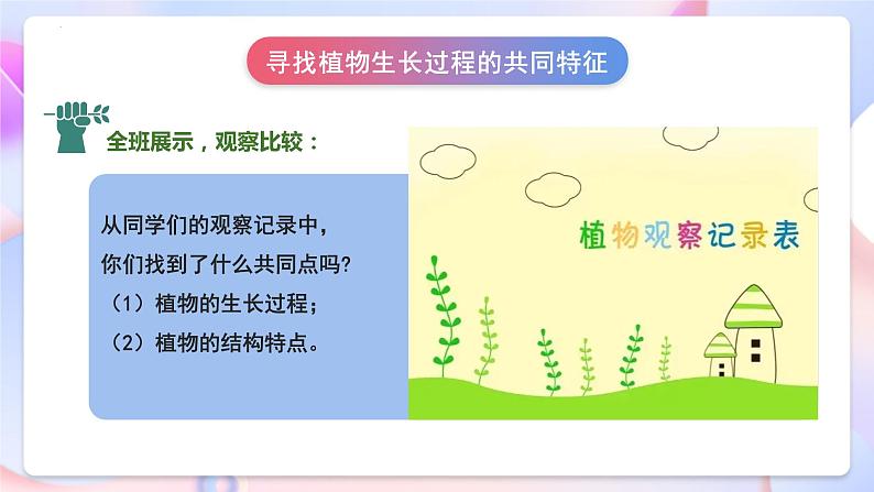 苏教版科学三年级下册1.4《植物结果了》课件+教案+练习（含答案）+素材08