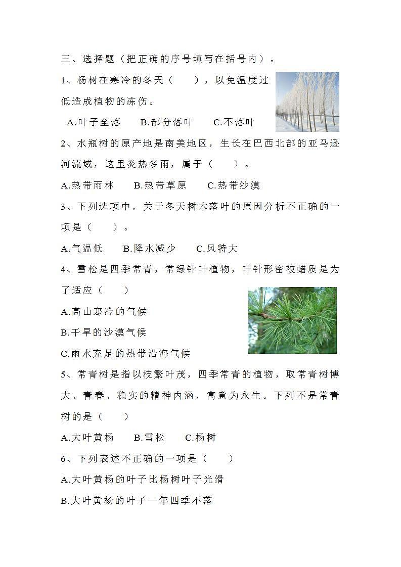 苏教版科学三年级下册2.5《不同环境里的植物》课件+教案+练习（含答案）+素材02