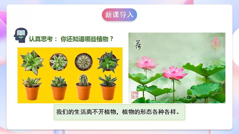 苏教版科学三年级下册2.5《不同环境里的植物》课件+教案+练习（含答案）+素材05