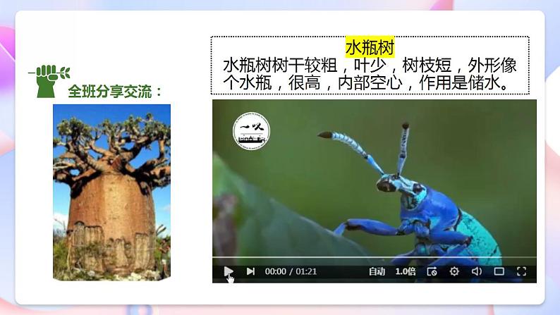 苏教版科学三年级下册2.5《不同环境里的植物》课件+教案+练习（含答案）+素材08