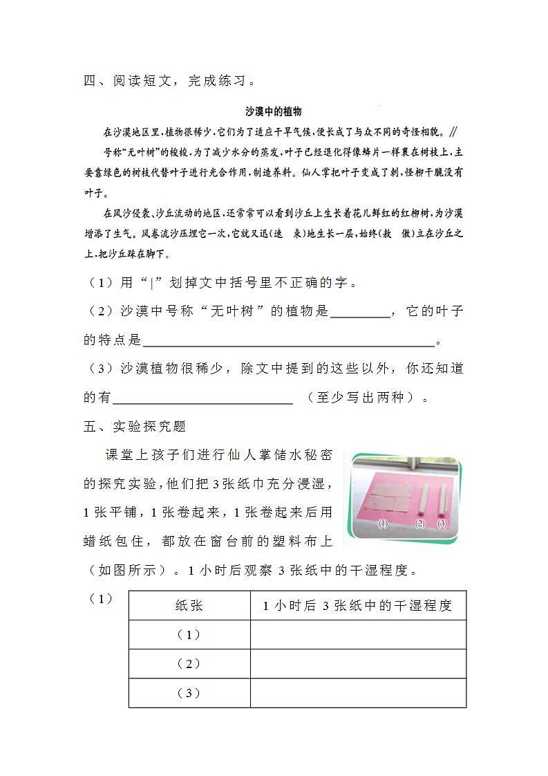 苏教版科学三年级下册2.6《沙漠中的植物》课件+教案+练习（含答案）+素材03