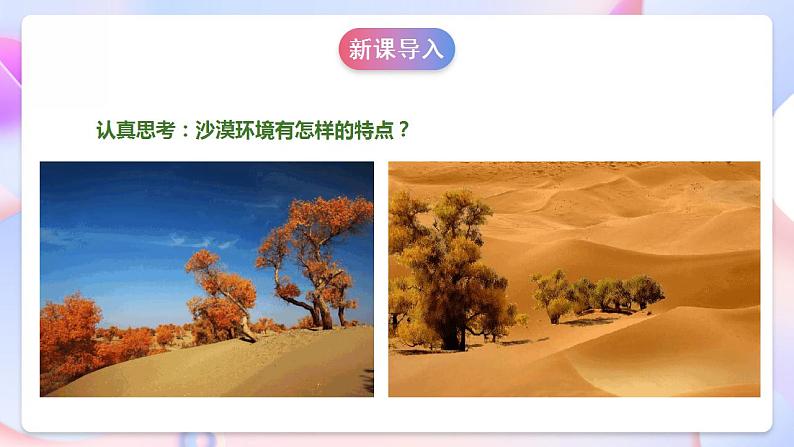 苏教版科学三年级下册2.6《沙漠中的植物》课件+教案+练习（含答案）+素材05