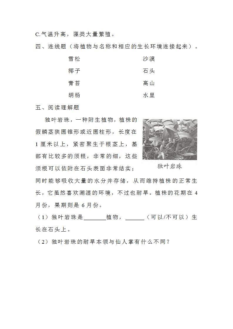 苏教版科学三年级下册2.8《石头上的植物》课件+教案+练习（含答案）+素材03