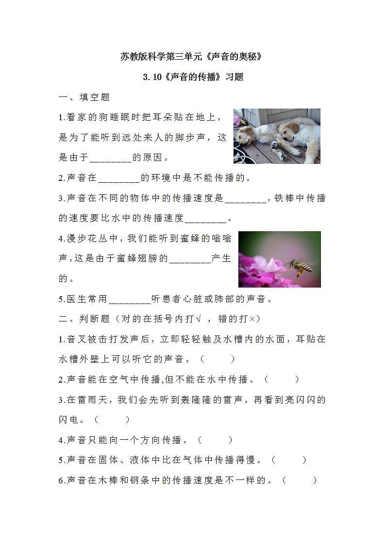 苏教版科学三年级下册3.10《声音的传播》课件+教案+练习（含答案）+素材01